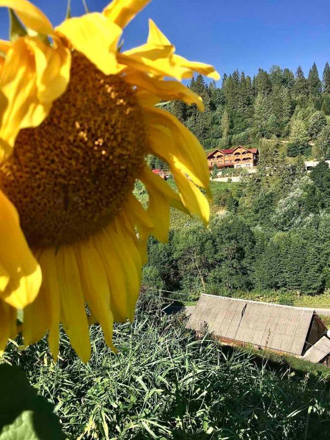 Privatna Sadiba Chalet Oryavchyk Esterno foto