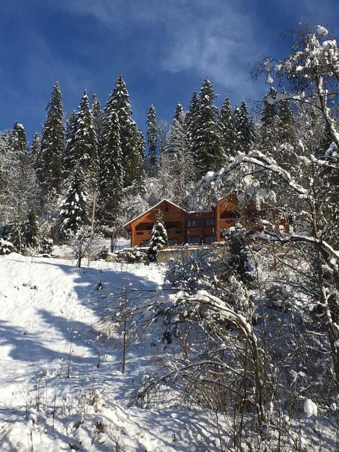 Privatna Sadiba Chalet Oryavchyk Esterno foto