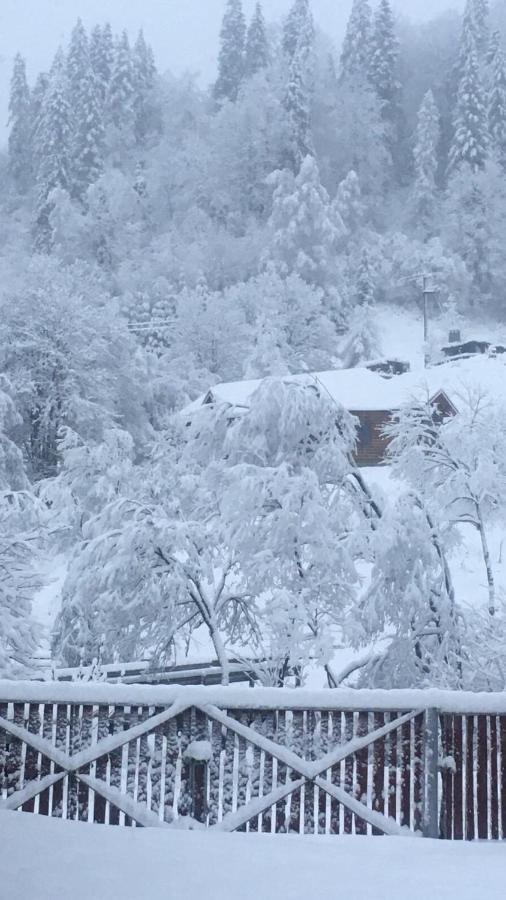 Privatna Sadiba Chalet Oryavchyk Esterno foto